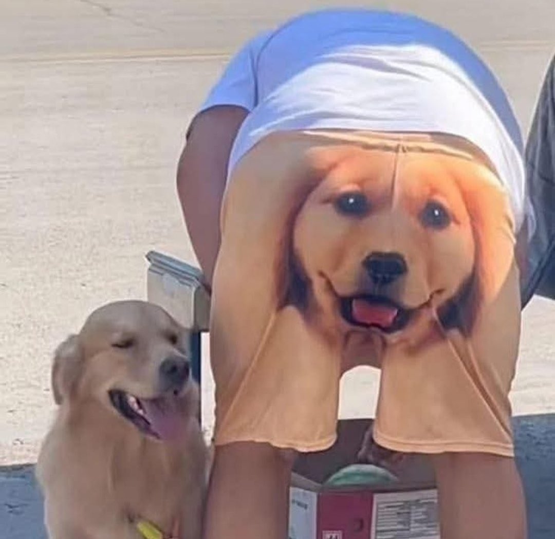¿Morderá ese perro? 😏