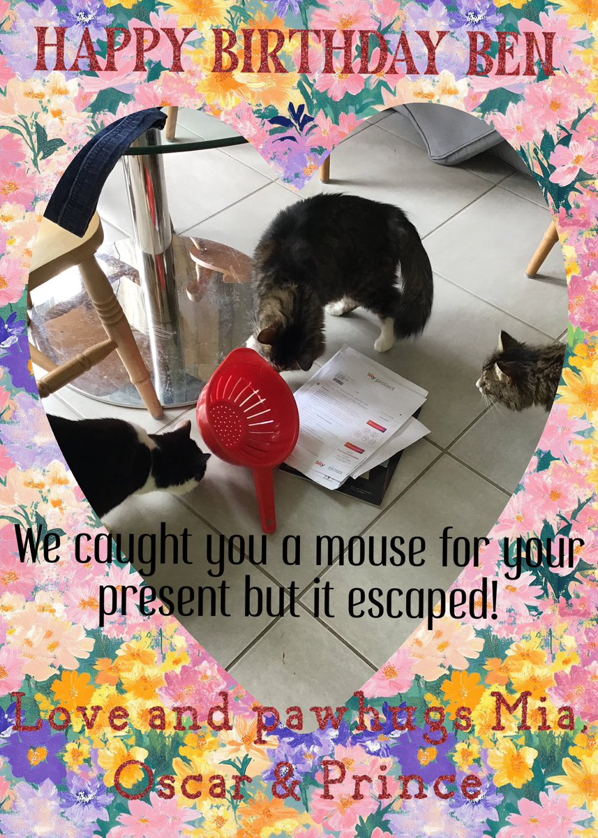 Happy 20th Birthday Ben. Fab pawty. We got you a present - a mouse - but it escaped! 
#Hedgewatch #BensMagicGardenPawty
(with help from Mum!)