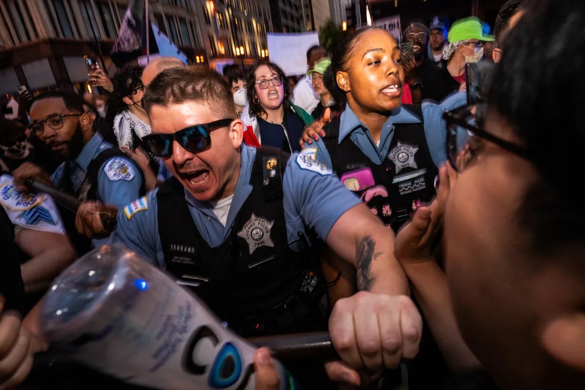 Colin Boyle tweet media