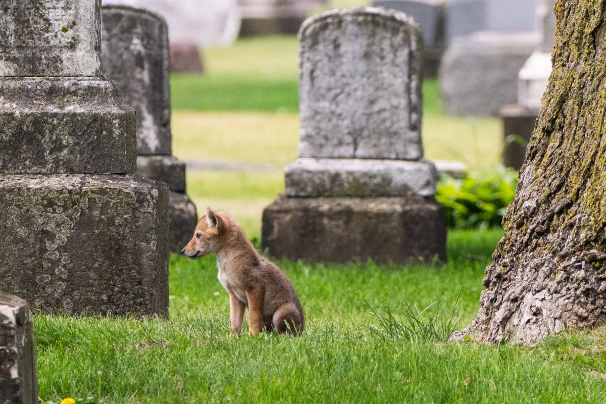 Colin Boyle tweet media