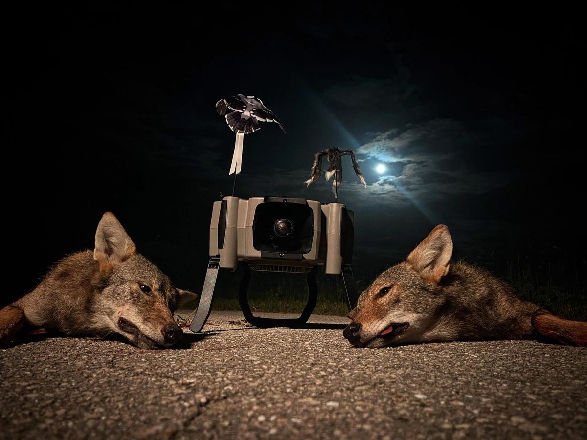 “Took the new x360 out last night for the first time to make one stand and it did not disappoint. Managed to call in two and had one run the call over and run off with one of the decoys.” ~ William Hatton #FOXPRO #WeLiveForThis