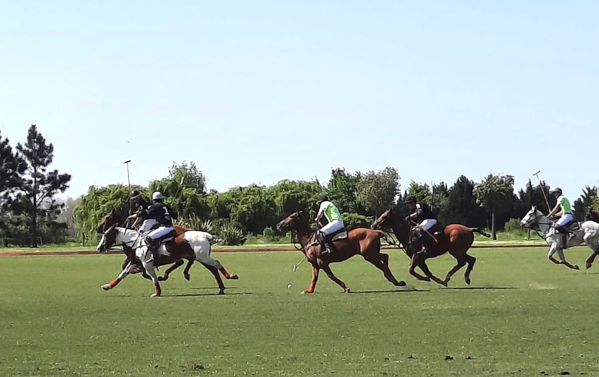 🏇 En el polo, el jinete cambia de caballo varias veces por partido.
¿Por qué? Para mantener el rendimiento, evitar lesiones y adaptar la montura al ritmo de juego.
Un partido de polo no es solo entre jugadores, ¡también entre caballos!