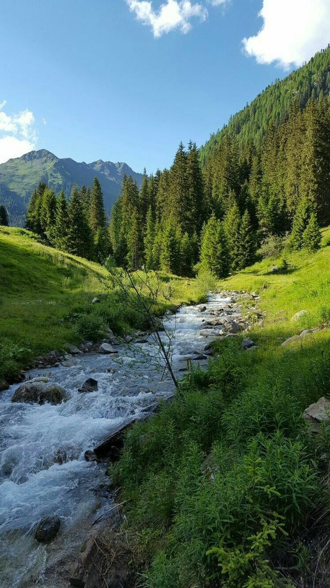greenvibe's tweet photo. https://t.co/mZX1h8XFvs