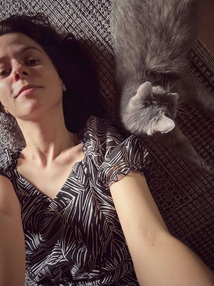 La gang del tappeto 🐈‍⬛