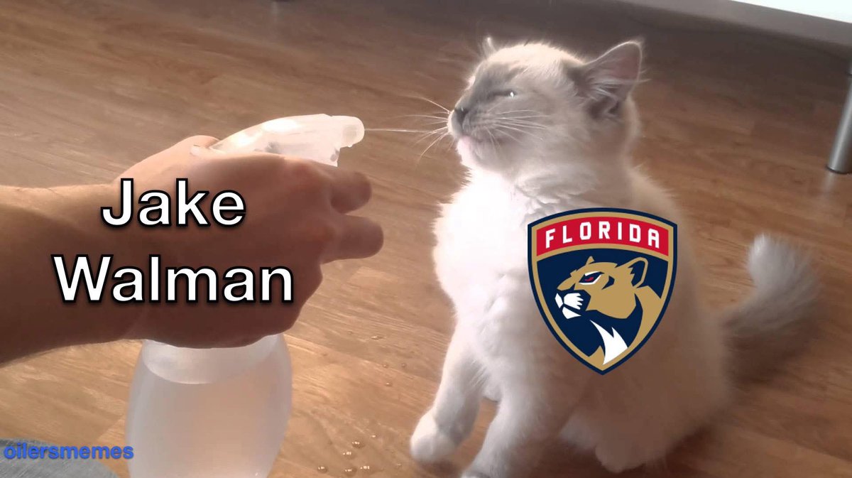 Michelle tweet media