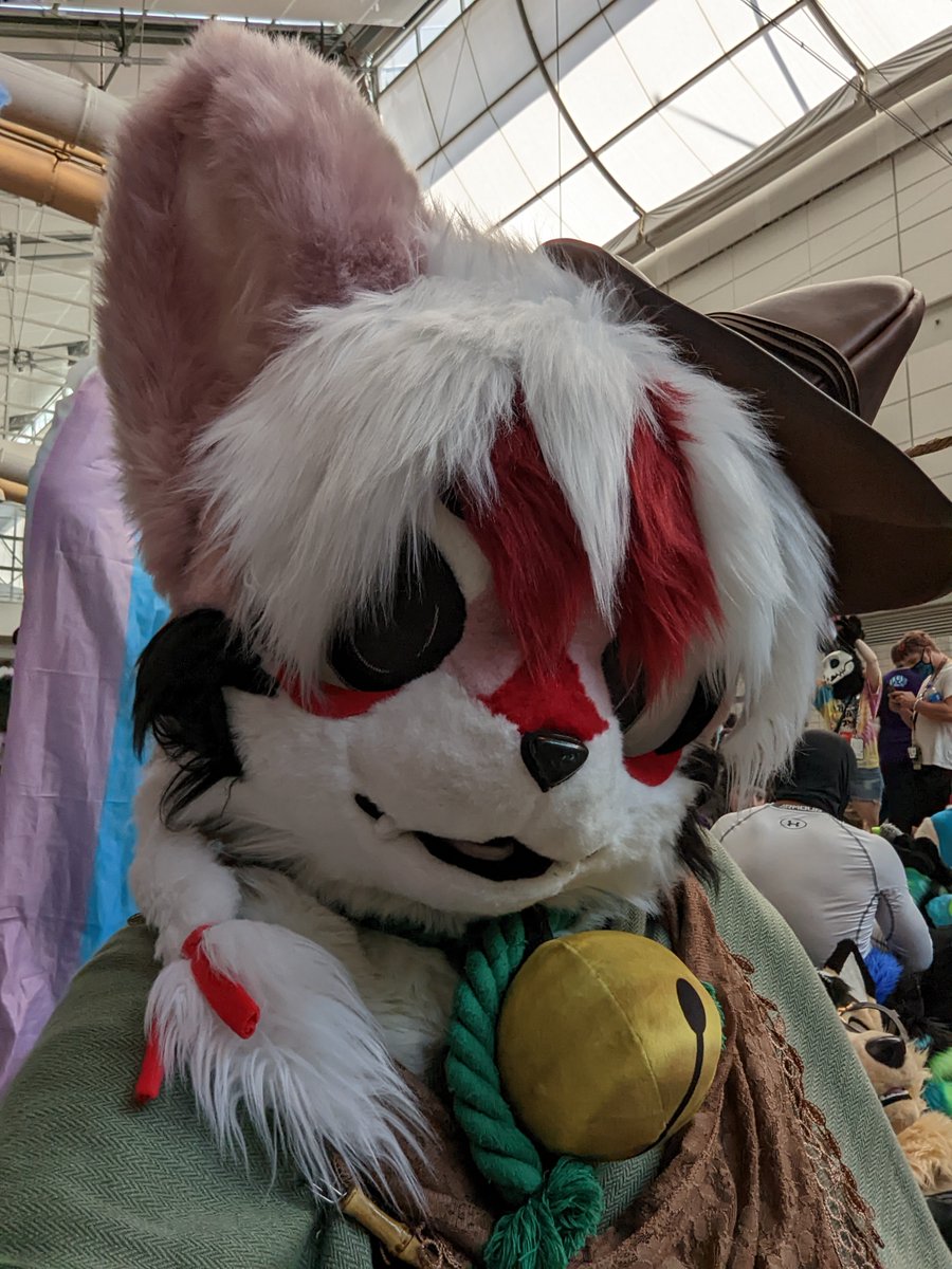 Fall is coming! Time for more adventure!
#FursuitEveryday