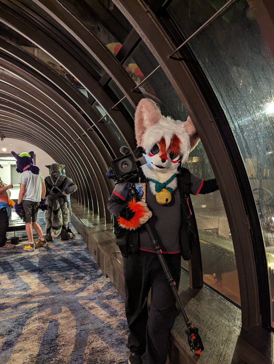 The rain is coming, are you staying dry or moist?
#FursuitEveryday