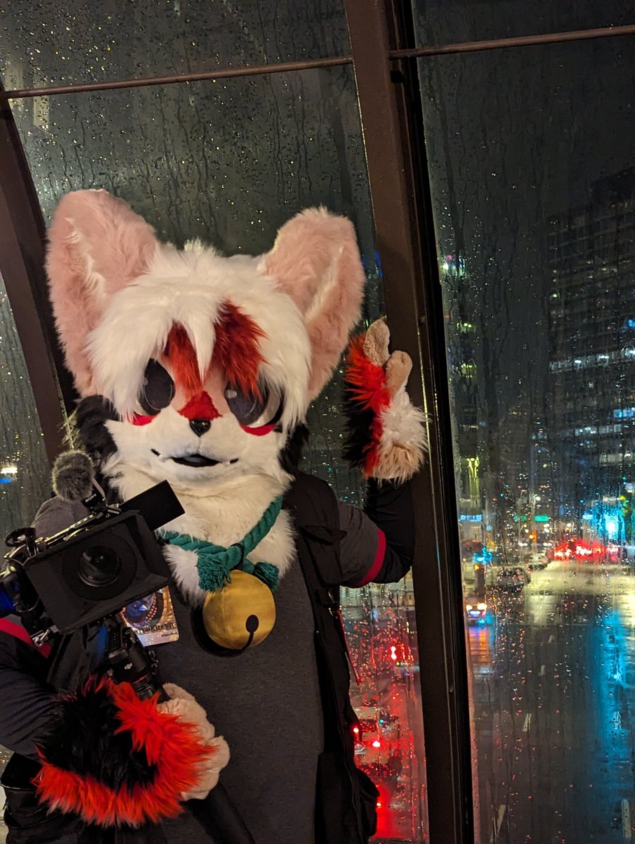 I hate the smell of wet fur
#FursuitEveryday