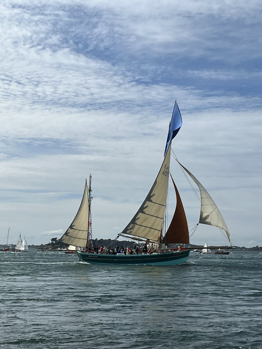 Catherine Lespine tweet media