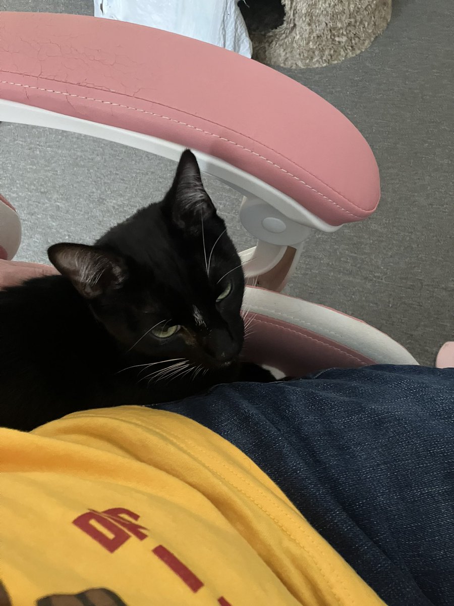 Sharing my
Cat Karoo because I love him