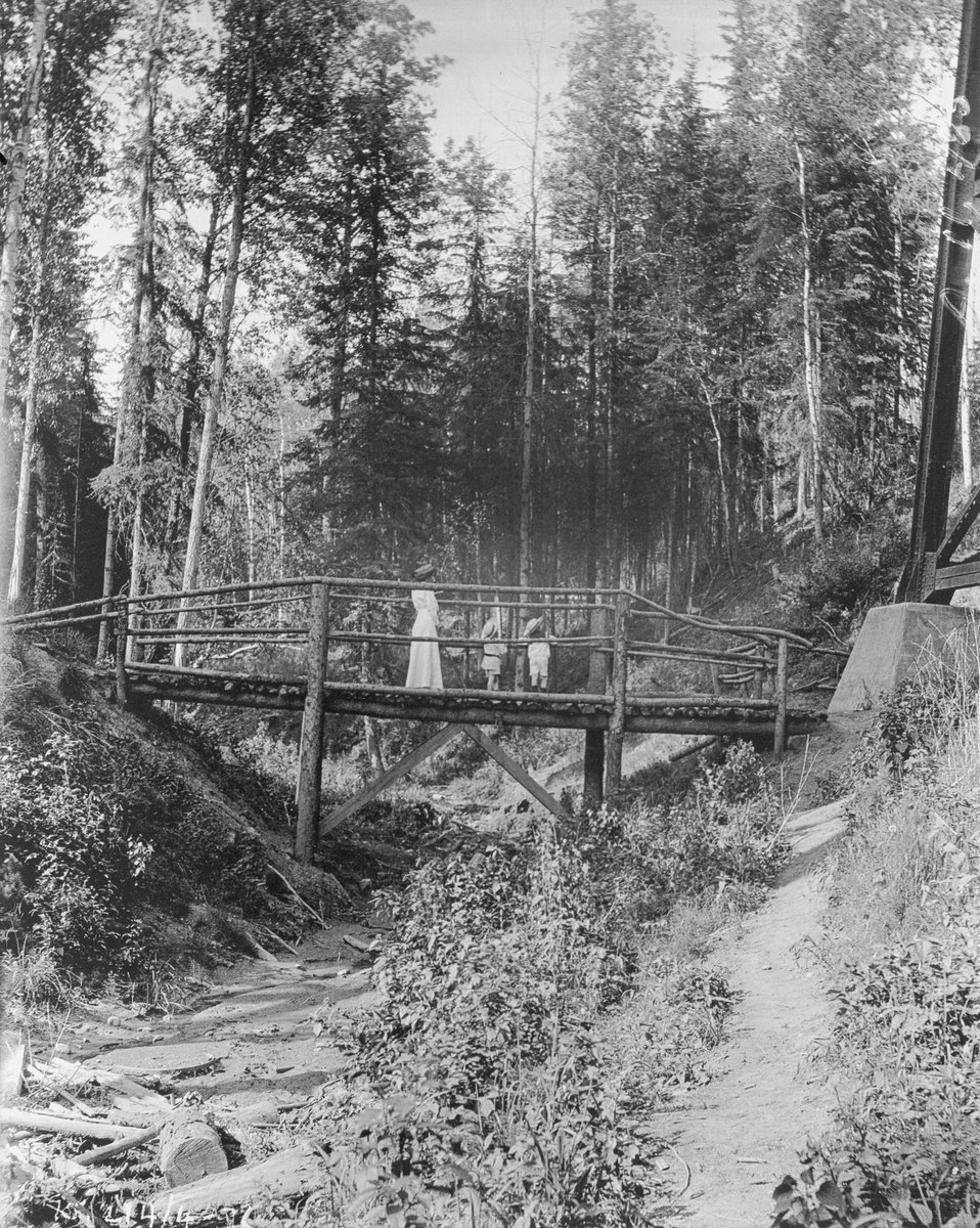 Woman and children on the Groat Ravine foot bridge, Edmonton. Photographer is Vernon Barford, ca. 1913 (A11485).