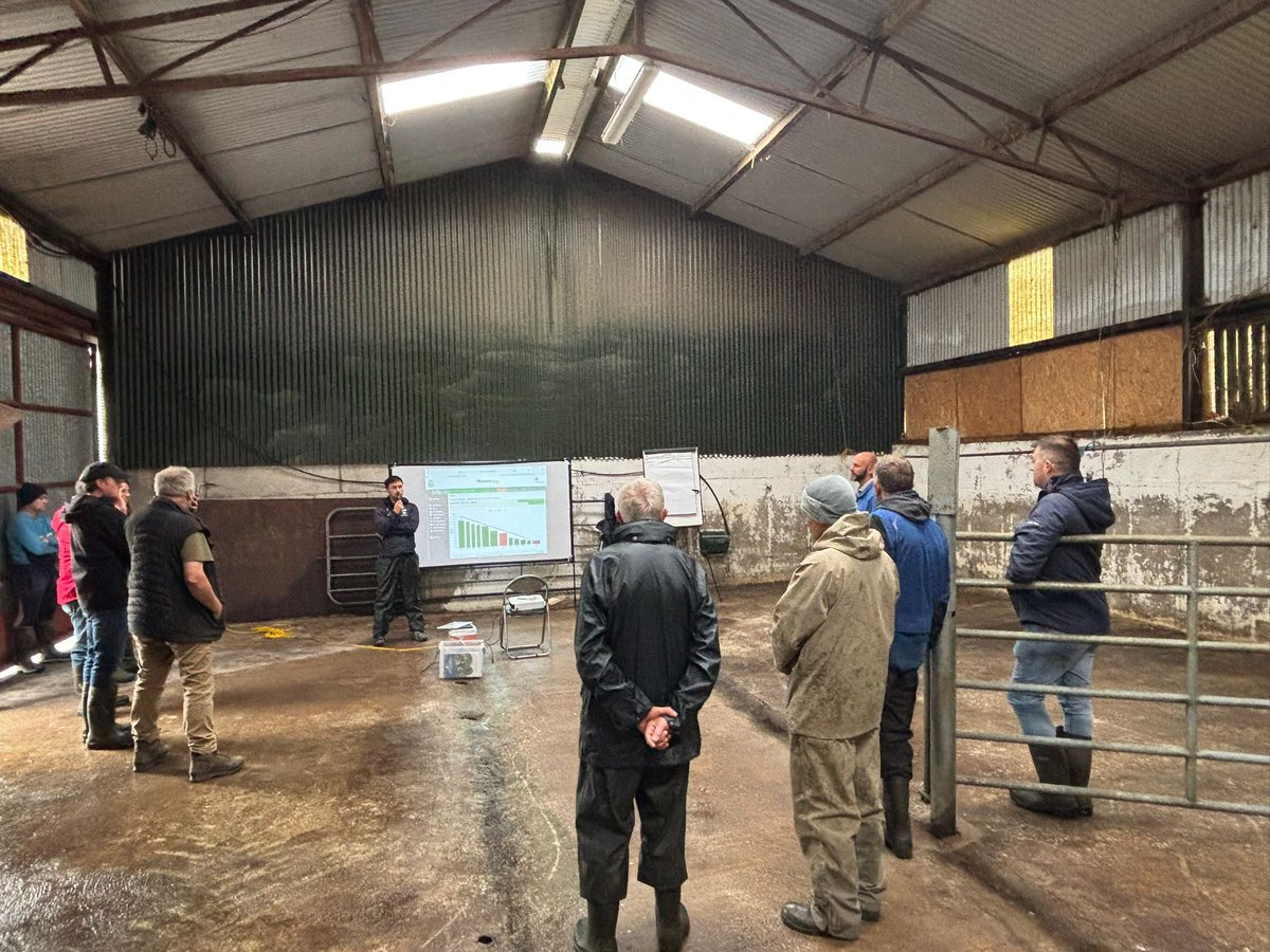 Cork Grassland Services tweet media