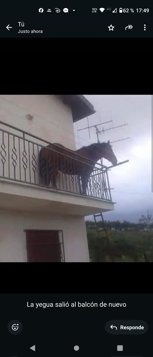 La yegua salió otra vez al balcón.