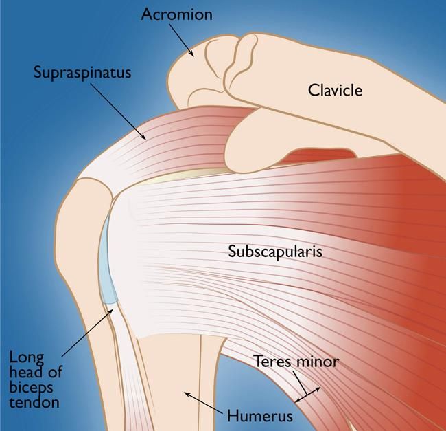 MoAImam's tweet photo. Behind every shoulder pain is a story—a mechanism, a habit, a missed clue. In this new series, we dive into the whys behind common shoulder issues. Not just the what, but also the reasoning that guides better diagnosis and more innovative  treatment. 
https://t.co/4ve8ROhW3v https://t.co/CnLX1jW5vc