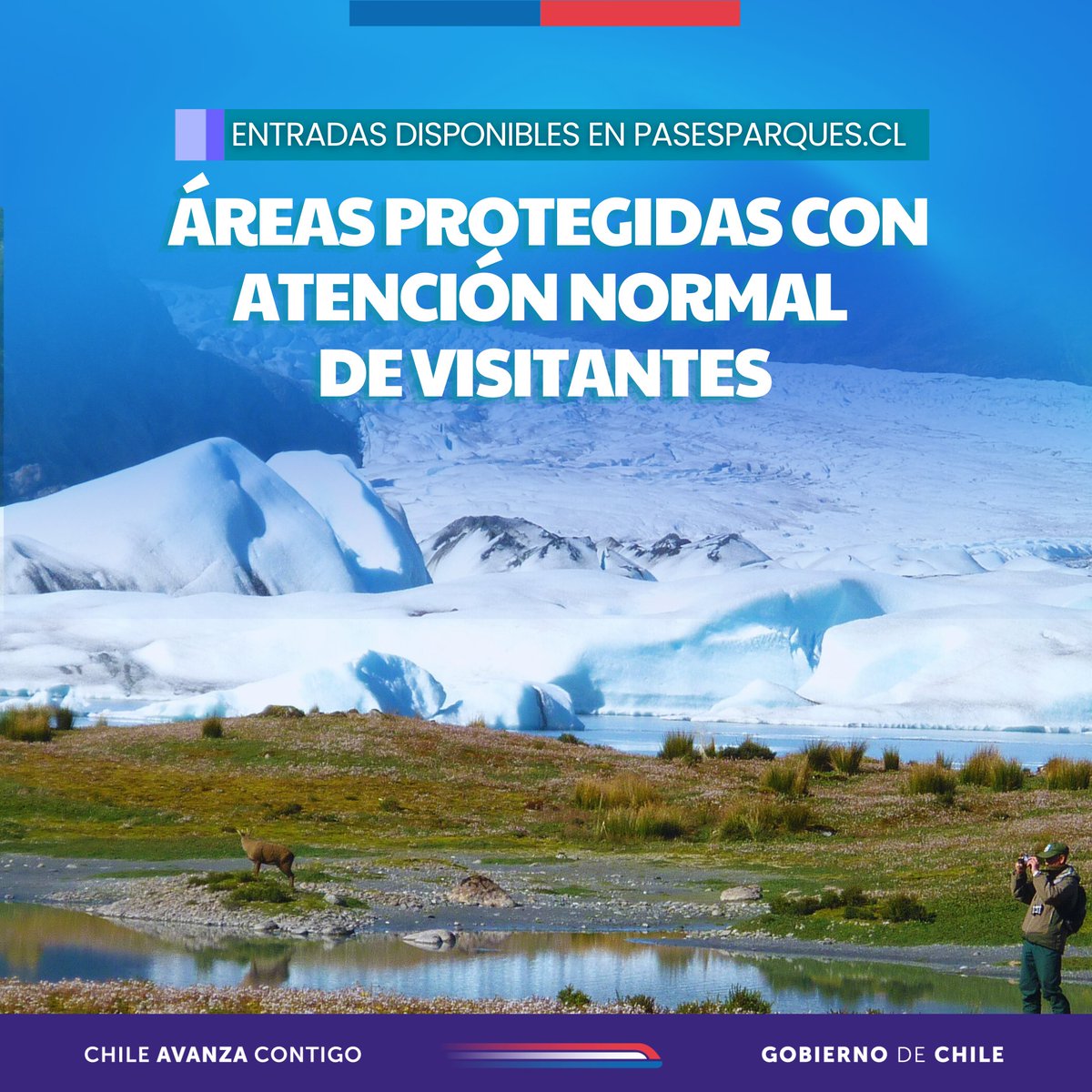 ⚠️#IMPORTANTE | Con motivo del término de la movilización de personal guardaparques, #CONAF informa que las 𝗮́𝗿𝗲𝗮𝘀 𝗽𝗿𝗼𝘁𝗲𝗴𝗶𝗱𝗮𝘀 𝗲𝘀𝘁𝗮𝗿𝗮́𝗻 𝗮𝗯𝗶𝗲𝗿𝘁𝗮𝘀 𝗮𝗹 𝗽𝘂́𝗯𝗹𝗶𝗰𝗼 𝗮 𝗽𝗮𝗿𝘁𝗶𝗿 𝗱𝗲 𝗺𝗮𝗻̃𝗮𝗻𝗮 𝘀𝗮́𝗯𝗮𝗱𝗼 𝟭𝟰 𝗱𝗲 𝗷𝘂𝗻𝗶𝗼.

▶️Recuerda
