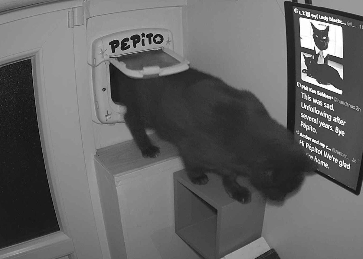 Pépito is back home (22:54:43)