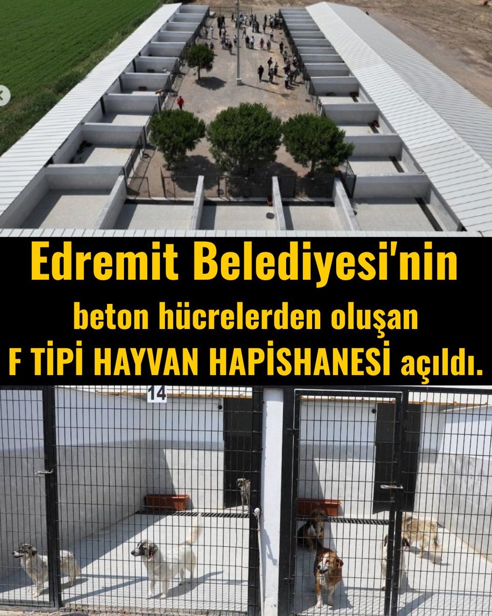 Edremit Belediyesi'nin beton hücrelerden oluşan F TİPİ HAYVAN HAPİSHANESİ AÇILDI. Hayvanlar bu beton hücrelerde yazın kızgın güneş altında yanarak, kışın kar altında buzlu zeminde donarak can verecek.. Beton odalarda bir palet bile yok. Bir gölgelik yapmaktan bile acizler!.
