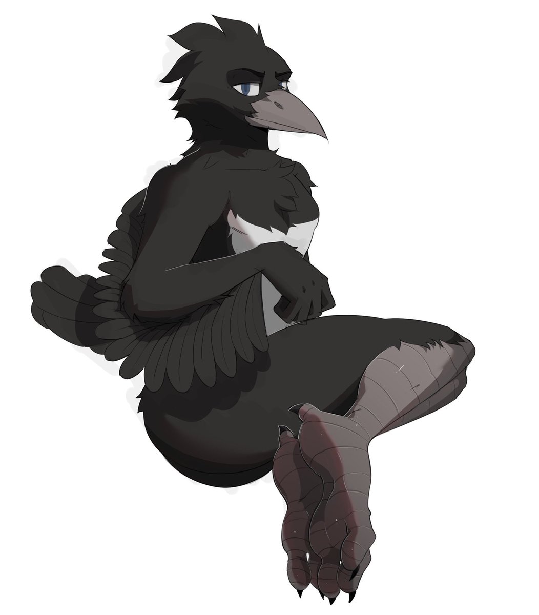 Wipppp