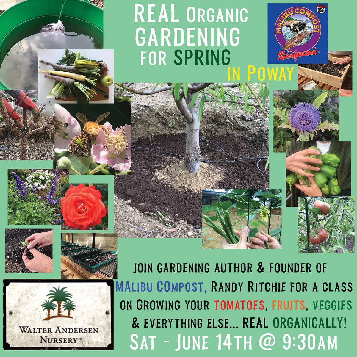 Get off of the Faux Organic fertilizers, composts &amp; potting soils 🤔 and microdose your garden with clean, healthy and safe REAL ORGANIC top dresses and compost tea #poway #sandiego #realorganicgardening #malibucompost #growrealorganic #gardeningtips #gardeningclass #realorganic