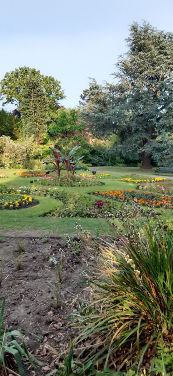 louisem09717316's tweet photo. A wander around Sheffield Botanical Gardens to round off the working week. #100kinJune https://t.co/fcJRIKyt7P