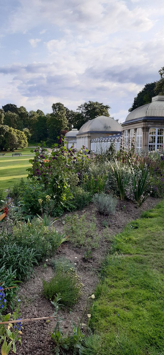 louisem09717316's tweet photo. A wander around Sheffield Botanical Gardens to round off the working week. #100kinJune https://t.co/fcJRIKyt7P