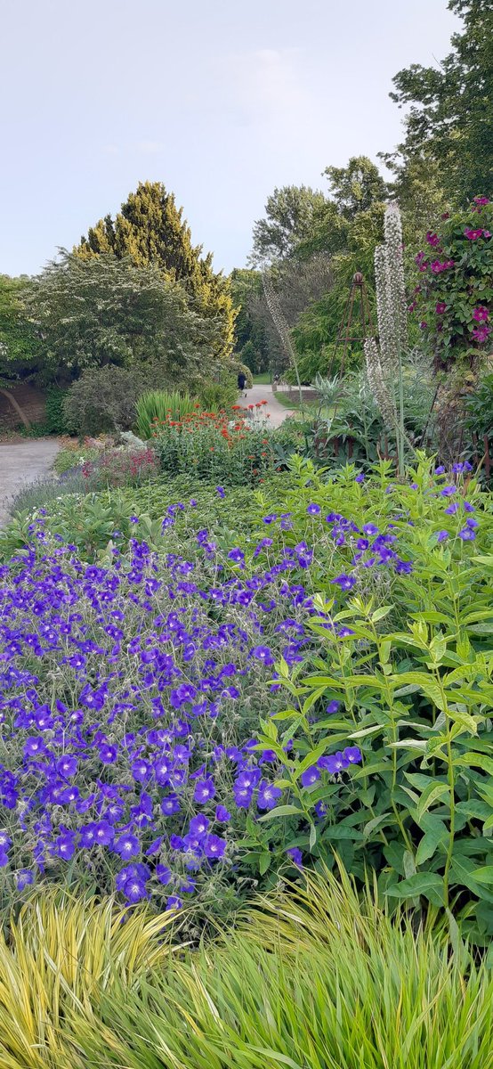 louisem09717316's tweet photo. A wander around Sheffield Botanical Gardens to round off the working week. #100kinJune https://t.co/fcJRIKyt7P