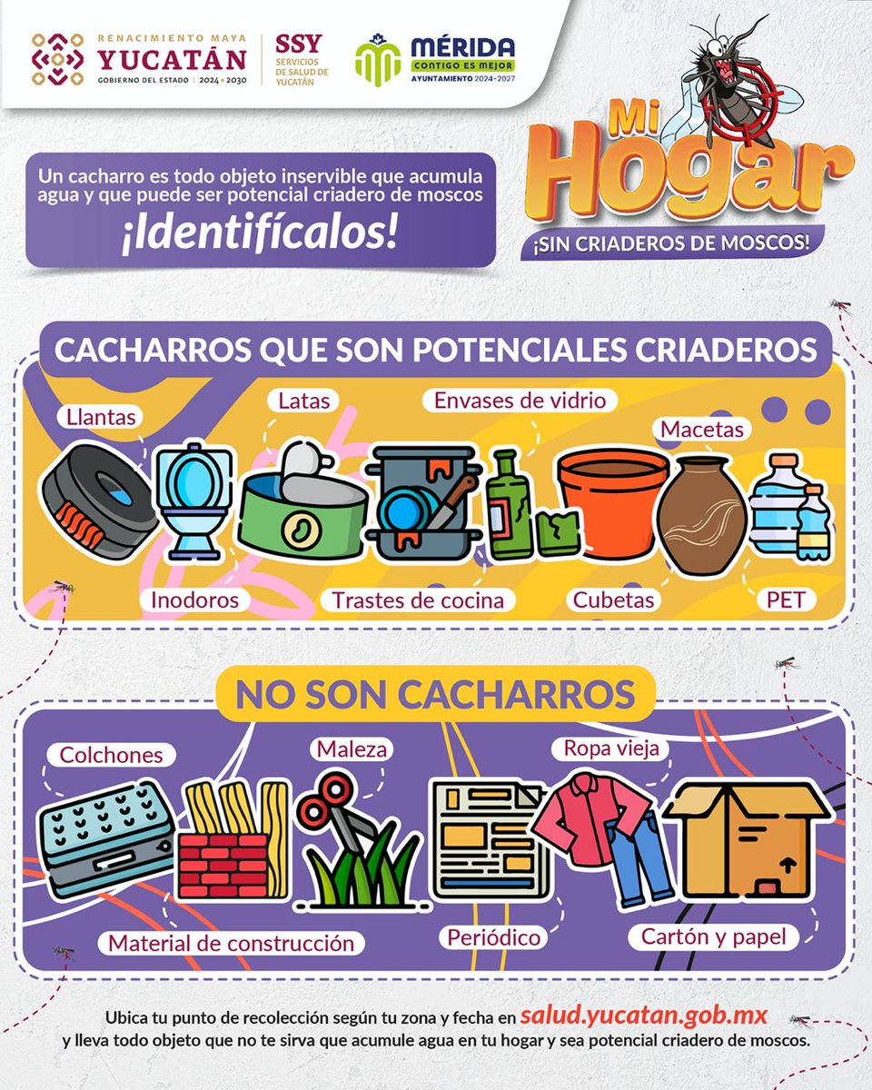 salud_yucatan's tweet photo. 🦟 ¡Identifica #criaderos de moscos en casa! Llantas, cubetas y trastes con agua pueden ser un riesgo para tu salud. 🛑No acumules #cacharros y protege a tu familia del dengue.📍Consulta puntos de recolección en https://t.co/Ea0sgVZP7y #MiHogarSinCriaderosDeMoscos https://t.co/w2H2vKllPV
