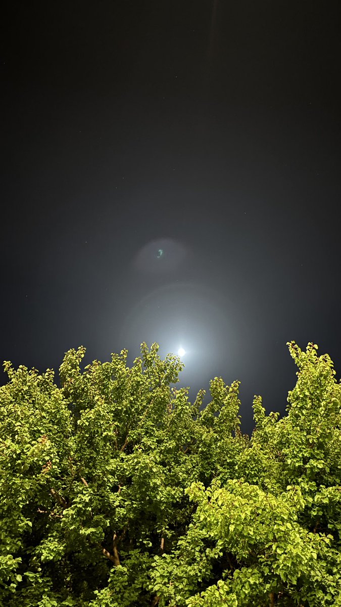 شفت القمر اللي نُوره مسرّات ،
عليه من وجهك رسوم وملامح