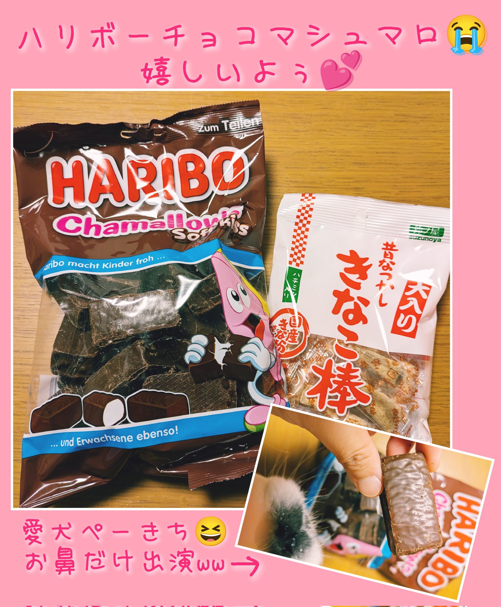 【⭐︎Mercury⭐︎定期的にアピール】チョコレートハリボー ⭐︎Mercury⭐︎定期的にアピール】チョコレートハリボー
