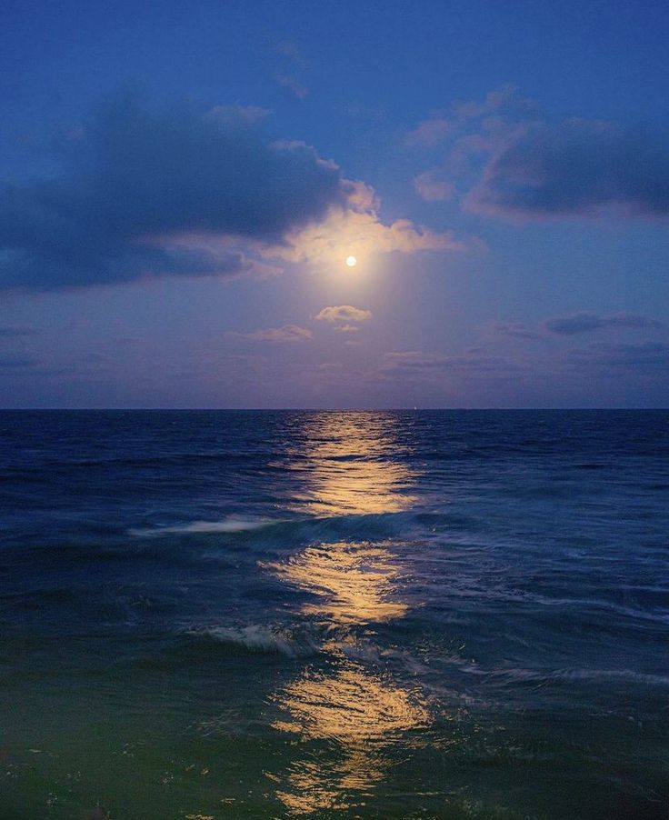 blue dream (@bluedreamvibes) on Twitter photo 