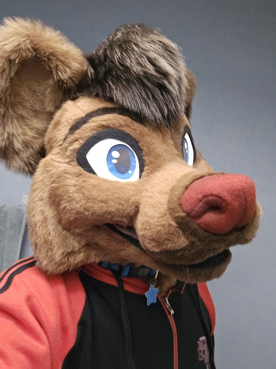 Darkwolf_Dj's tweet image. Happy Fursuit Friday #FursuitFriday 🪡 By @RitzCostumes