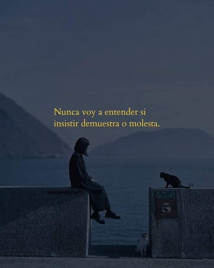 Escrito Ideal (@escrito_ideal) on Twitter photo 