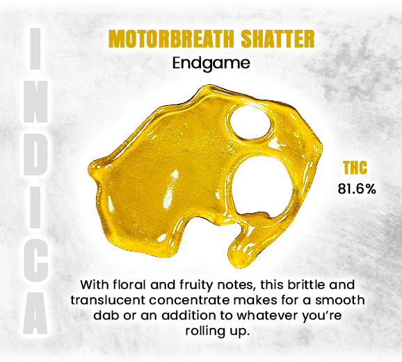 Social_GrandCan's tweet photo. *Informational Purposes*
#MotorbreathShatter #EndgameExtracts #CannabisConcentrates #ShatterHits #HighPotencyShatter #DabLife #EndgameCannabis #THCShatter #CannabisCanada #WeedConcentrates #DabToolsReady #420Dabs #ShatterSession #CannabisCulture #PotentExtracts #GrandCannabis https://t.co/WiPVaBCgHL