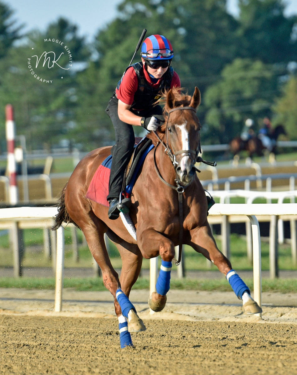 Warming brings the heat at Delaware Park:

herringswellstables.com/warming-sizzle…

#PoweredbyTLore
#HorseBitscuits