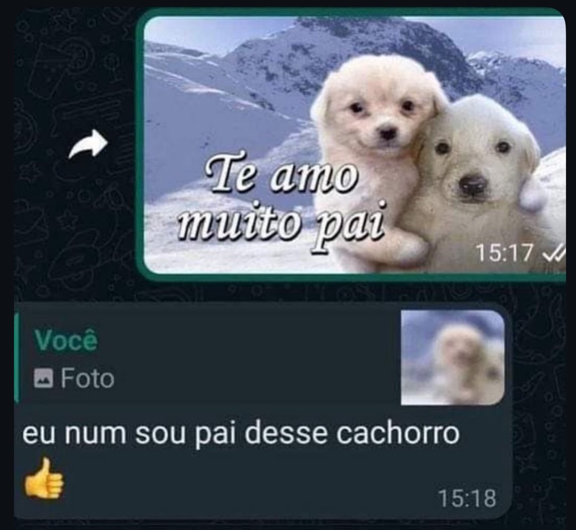 se a terra não é plana como explica o céu reto? (@moreiraviw) on Twitter photo 