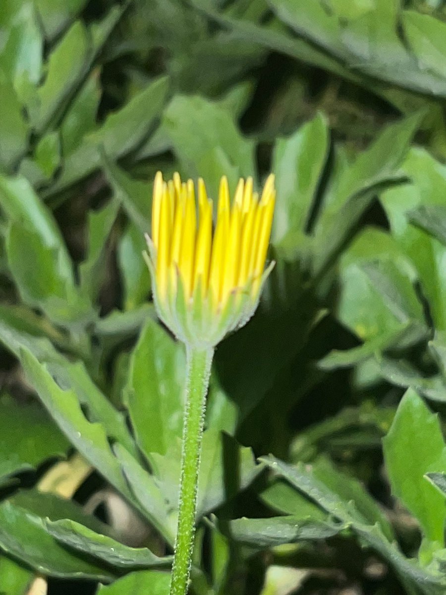 Happy Saturday #bloomscrolling