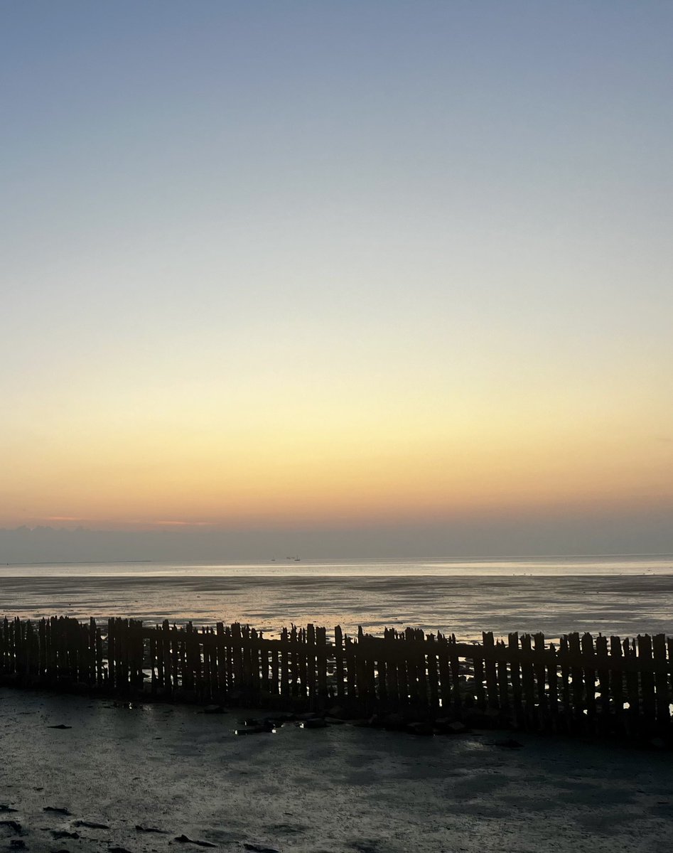 groningenzk's tweet photo. Op zo een avond, tegen de schemering, is er maar één plek: het #wad…dat jongste zoon betrad…😍
#waddenzee #paesens #moddergat https://t.co/oyI8zhNAQ4