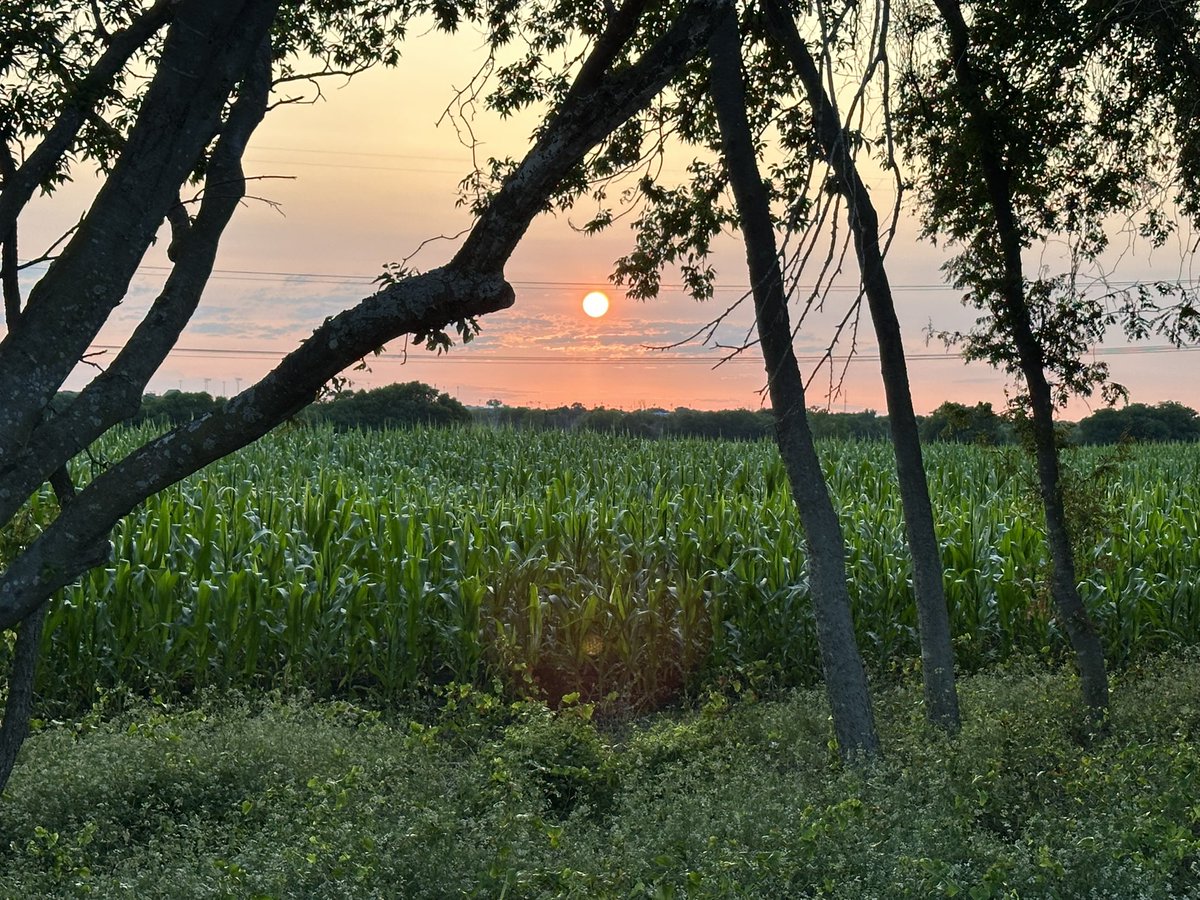 I tell my neighbors I have their six!  Little harder now we have corn coming