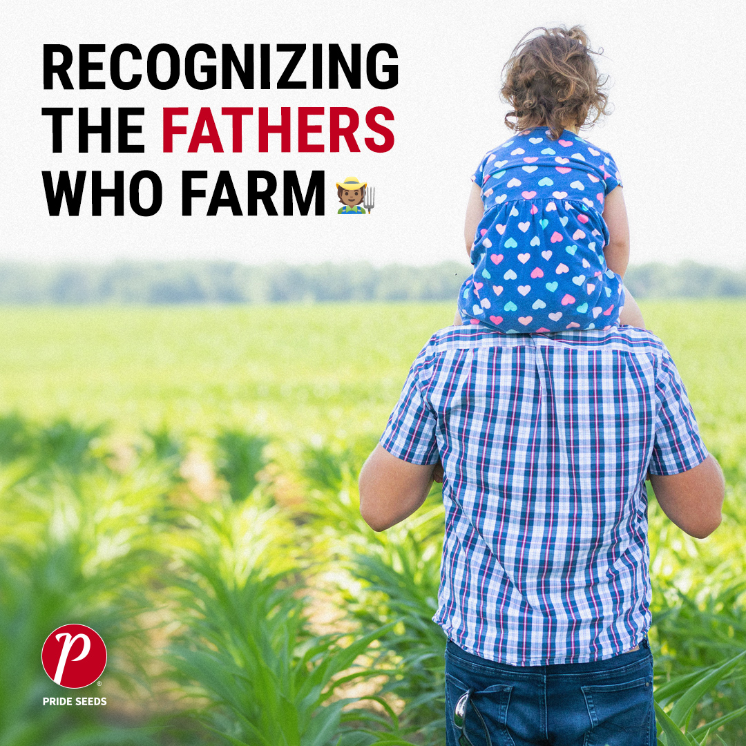 PRIDE Seeds tweet media