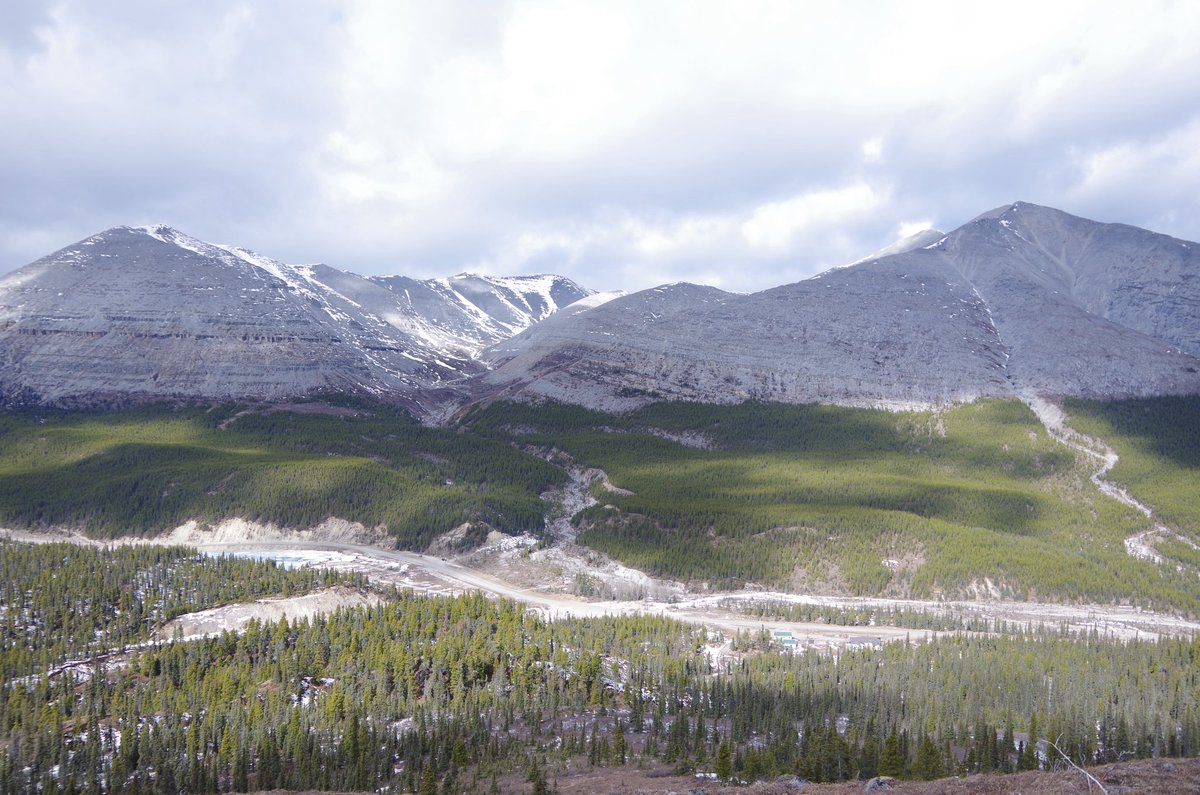 LoewenBehold's tweet image. How is your day going?! Tell me about it! 

#yourday