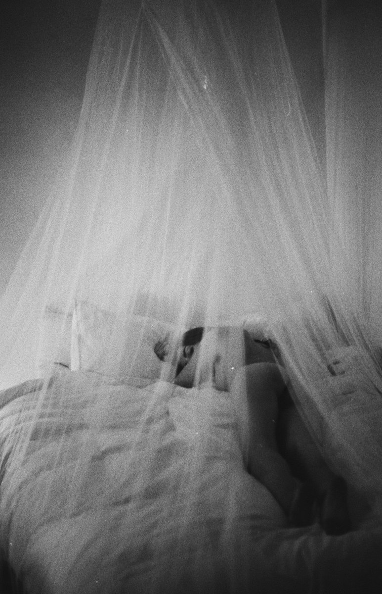 .

&amp; Good Night 
elisewouterss

. https://t.co/SywgWj9rvn