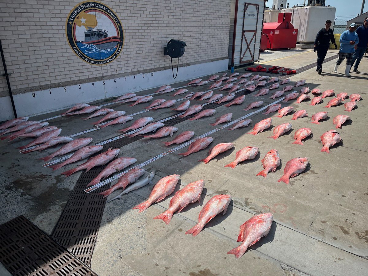 USCGHeartland's tweet image. The @USCG and @CBPAMO interdicted and detained 13 Mexican fishermen engaged in illegal fishing and seized approximately 1500lbs of red snapper in federal waters off southern #Texas, Today.
More here: bit.ly/4l5ZZHR