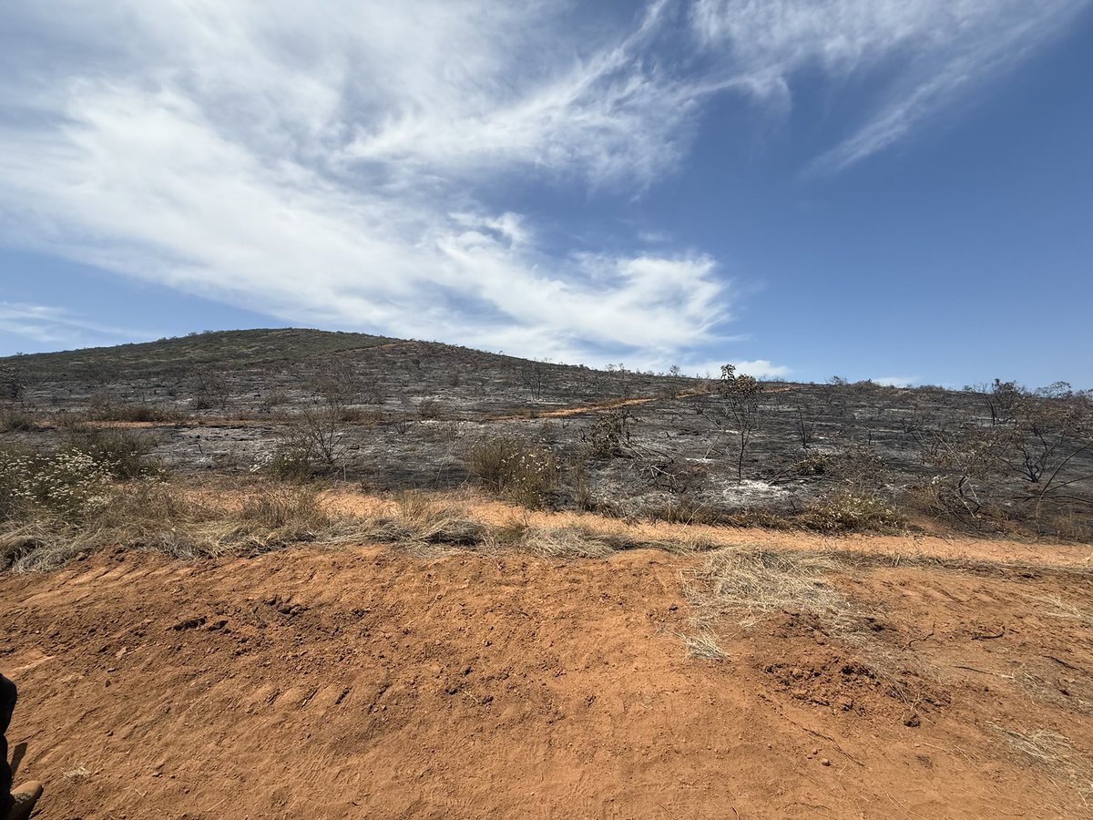 CALFIRESANDIEGO's tweet photo. #ClaroFire [Final] The fire is now 100% contained and the final acreage burned is 45. https://t.co/6wlhRiccNV