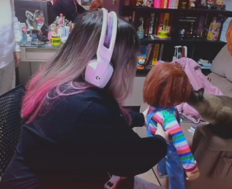 primeiro encontro entre daisy e chucky (não o gato!)