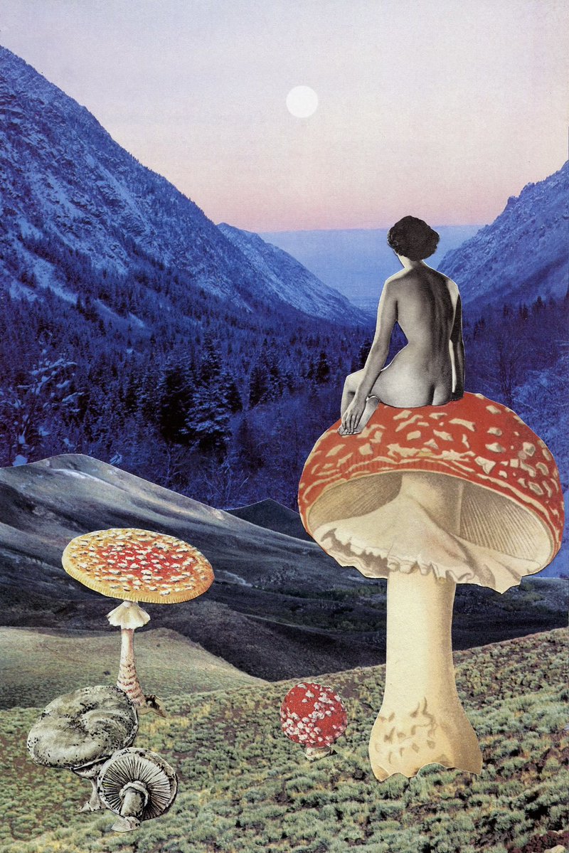 Paper Moon &amp; Go Ask Alice 

minted in 2022 and still available. comes with the physical collage.
link to collect below.