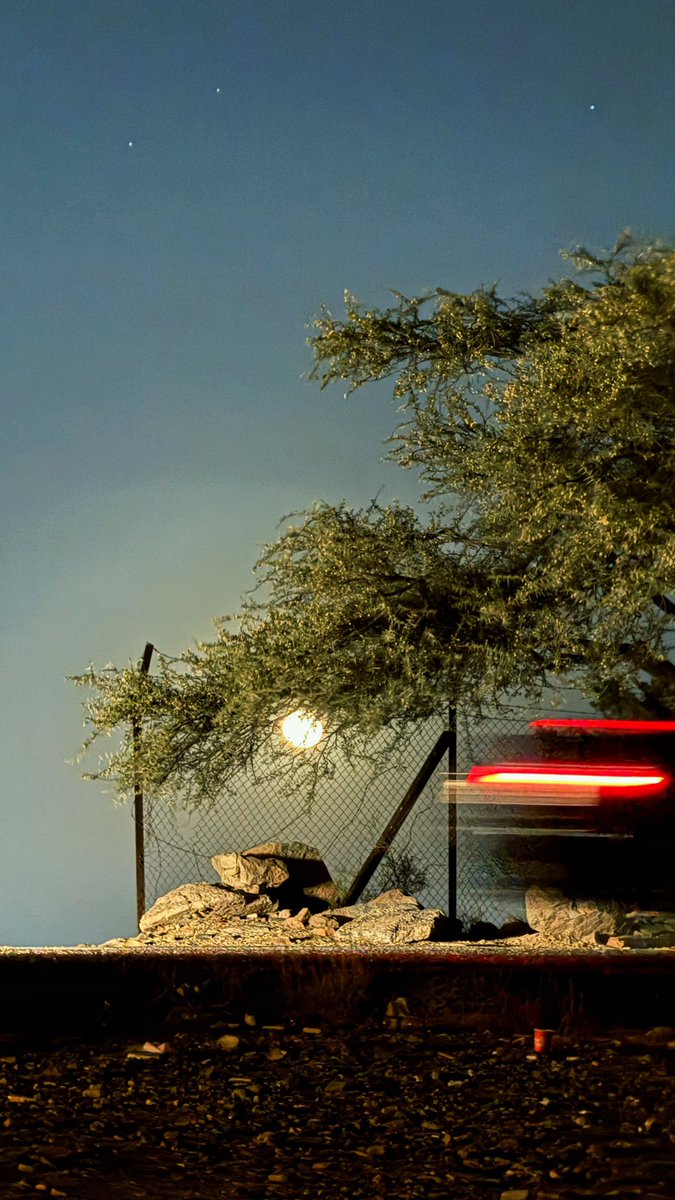 بـلوو tweet media