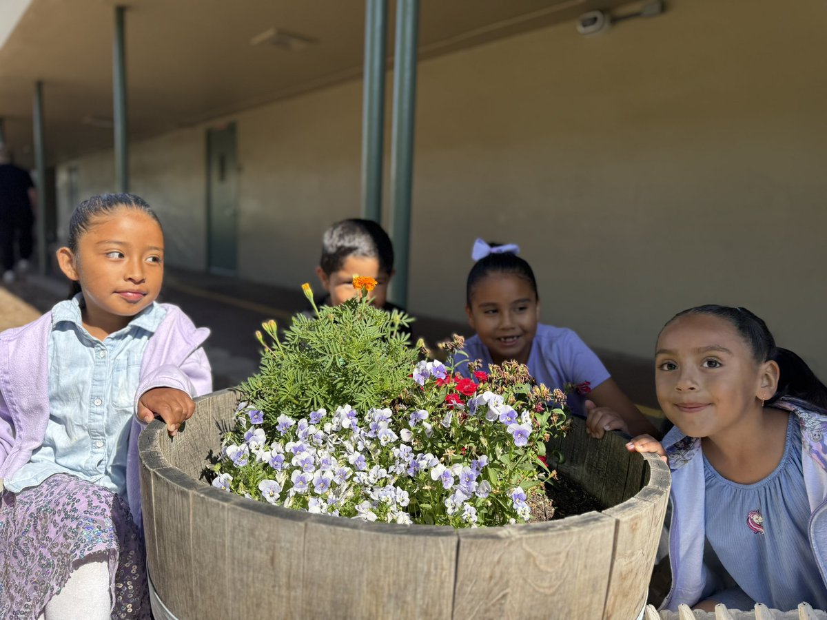Worldwide_Cares's tweet image. Students love when the Gardens at Heather Farm come to visit and explore our school gardens at @HolbrookMDUSD and @ShoreAcresMDUSD #SummerCARES #ExpandedLearning