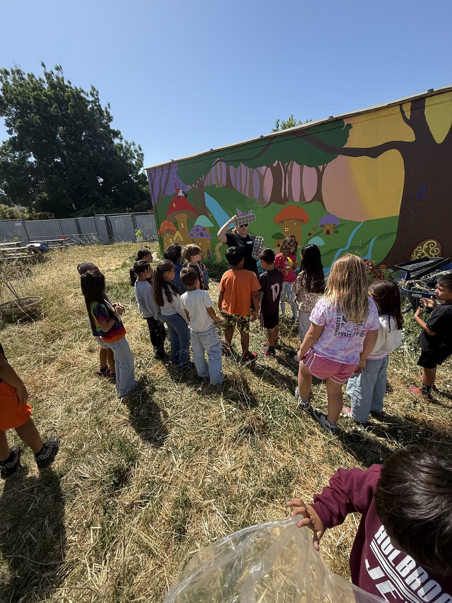 Worldwide_Cares's tweet image. Students love when the Gardens at Heather Farm come to visit and explore our school gardens at @HolbrookMDUSD and @ShoreAcresMDUSD #SummerCARES #ExpandedLearning