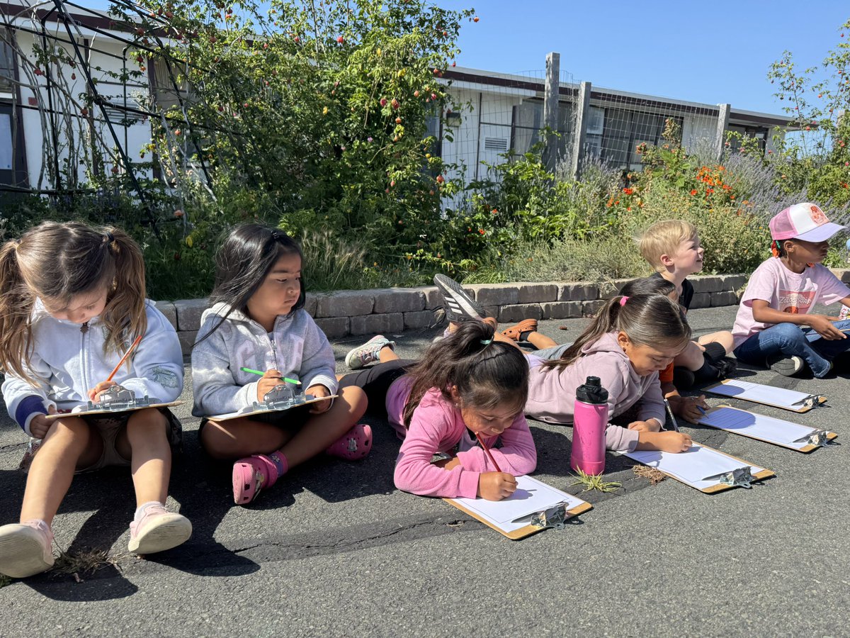Worldwide_Cares's tweet image. Students love when the Gardens at Heather Farm come to visit and explore our school gardens at @HolbrookMDUSD and @ShoreAcresMDUSD #SummerCARES #ExpandedLearning