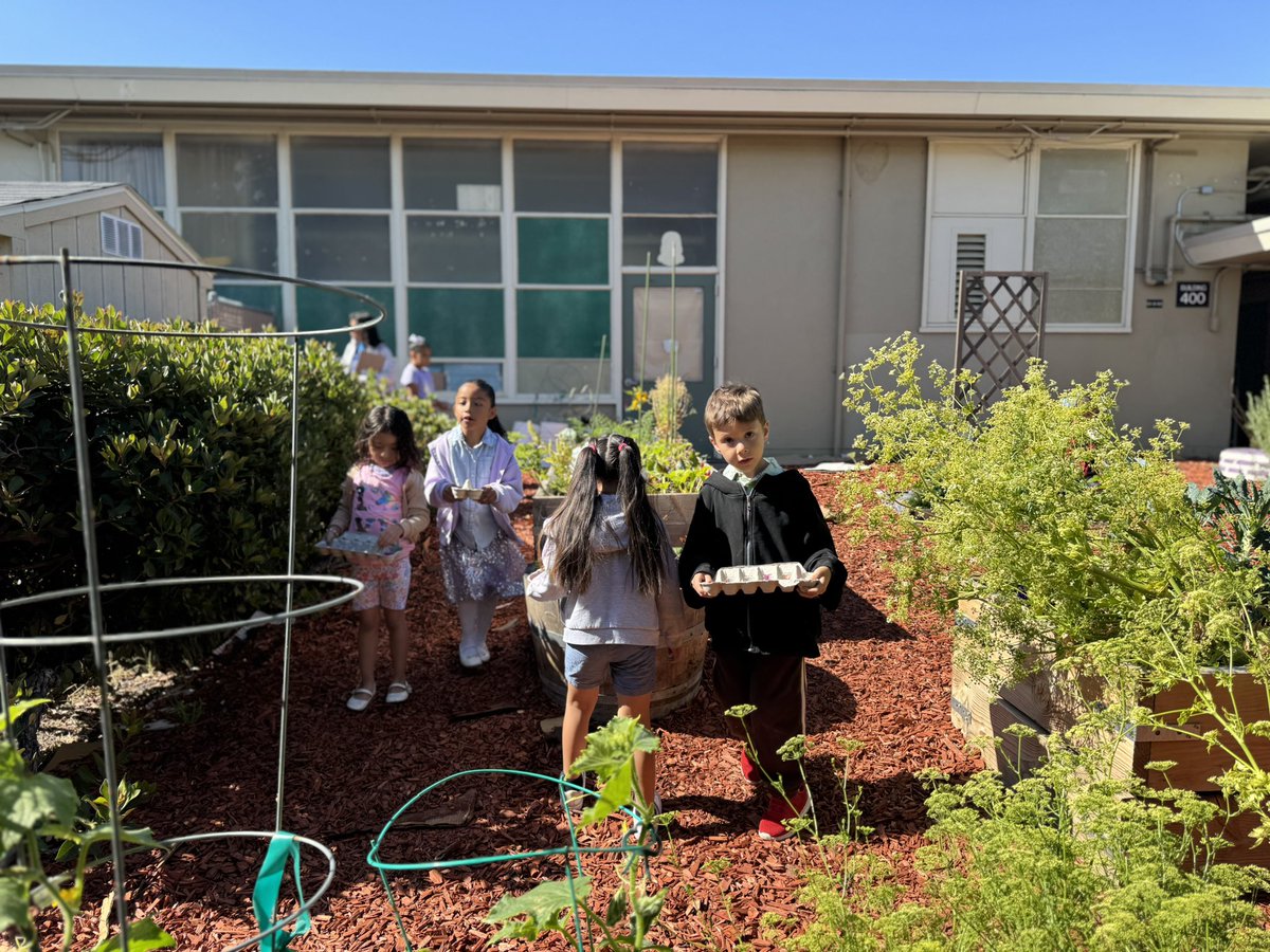 Students love when the Gardens at Heather Farm come to visit and explore our school gardens at <a href="/HolbrookMDUSD/">Holbrook Language Academy</a> and <a href="/ShoreAcresMDUSD/">ShoreAcres</a> #SummerCARES #ExpandedLearning